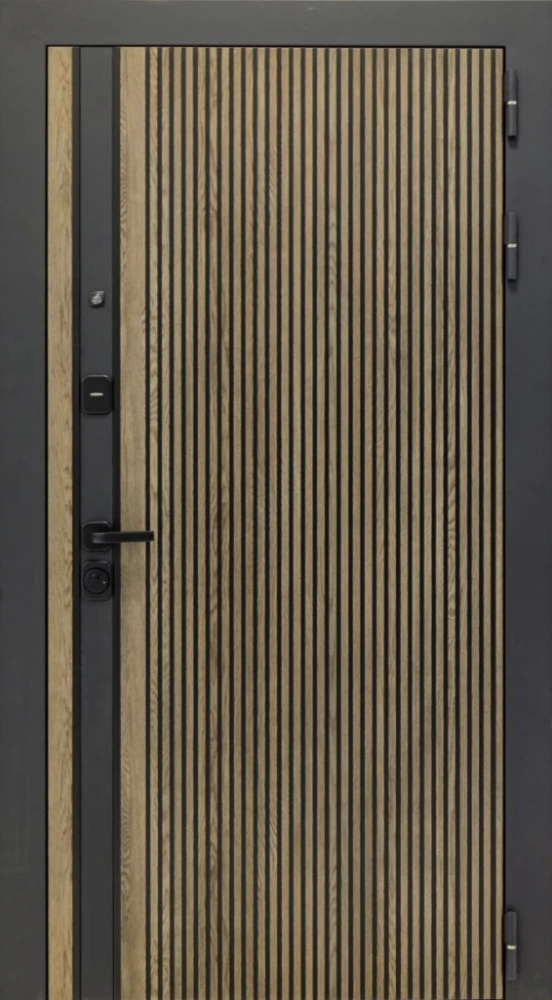 Входная дверь ДвериПРО Rosna ФЛ-256 (10мм, бетон пепельный) DPRO220537 внешняя сторона