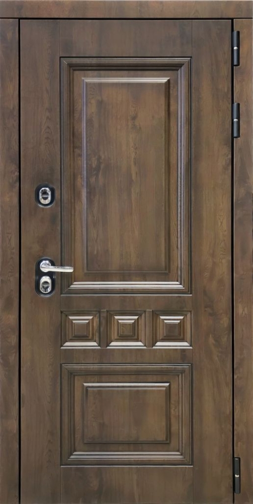 Входная дверь ДвериПРО Аура Фараон-2 (16мм, мореный дуб) DPRO195844 внешняя сторона